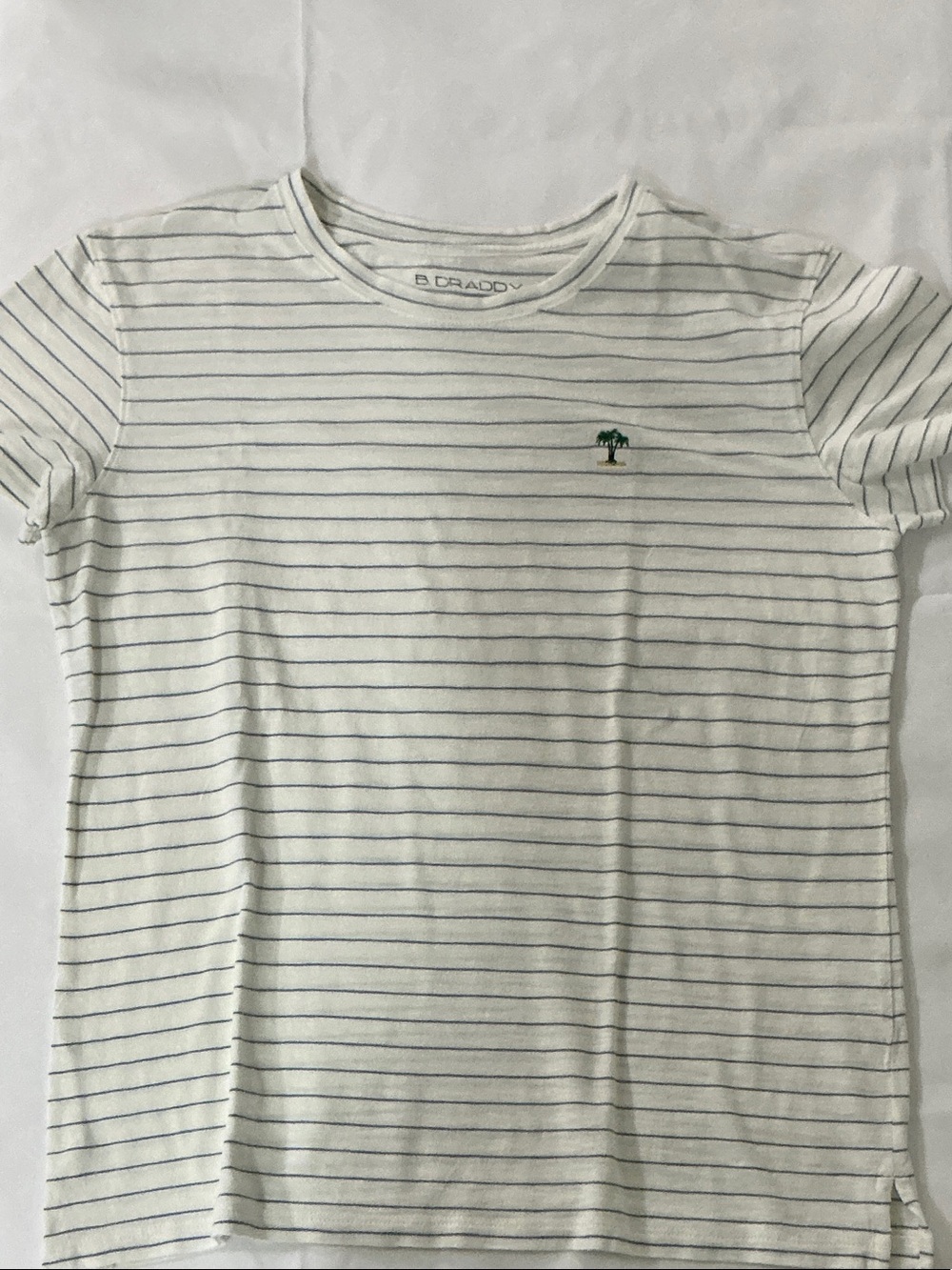 B. Draddy Blue and White Striped Tee with Palm Tree Embroidery